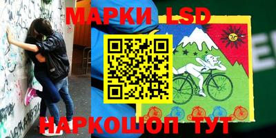 кокс Донецк