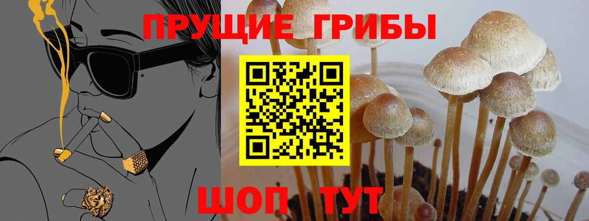 Псилоцибиновые грибы прущие грибы  Вход с VPN  Галлюциногенные грибы ЛСД  Наро-Фоминск 